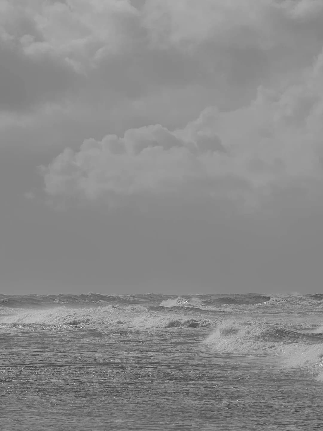 Ảnh cưới 1